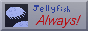 Jellyfish Always!